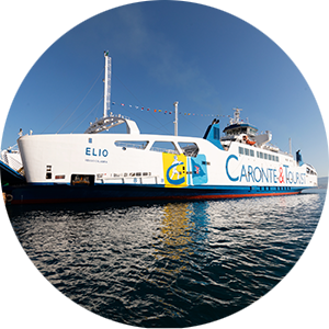 Vernici antivegetative al silicone